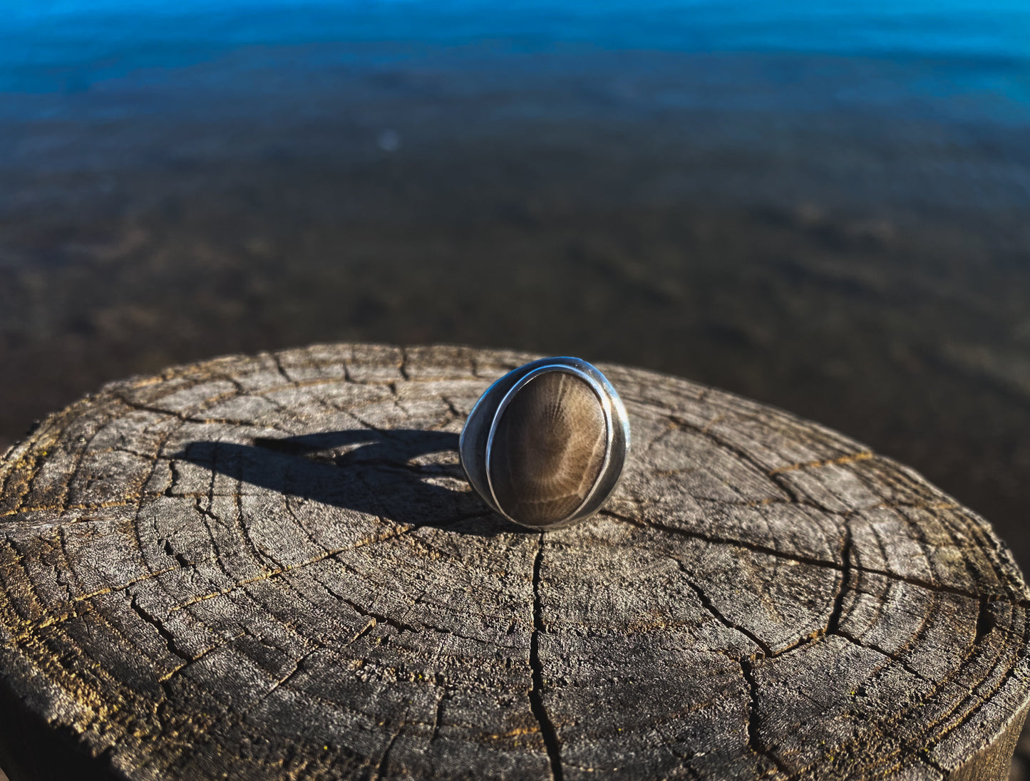 Petoskey Stone Recycled Silver Ring Size 7