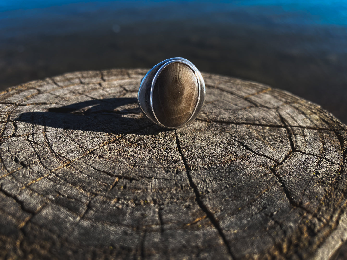 Petoskey Stone Recycled Silver Ring Size 7